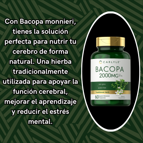 Bacopa Monnieri - El suplemento que tu mente necesita