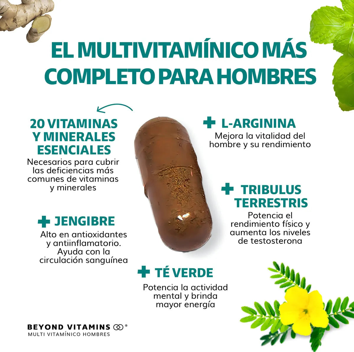 Multihombre - Multivitaminico
