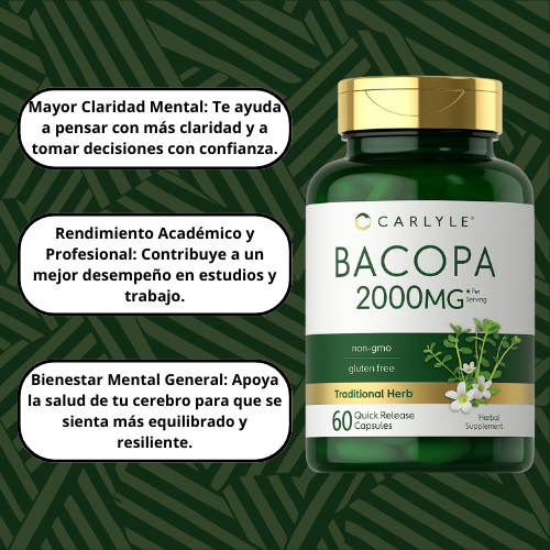 Bacopa Monnieri - El suplemento que tu mente necesita