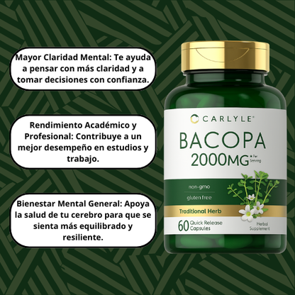 Bacopa Monnieri - El suplemento que tu mente necesita
